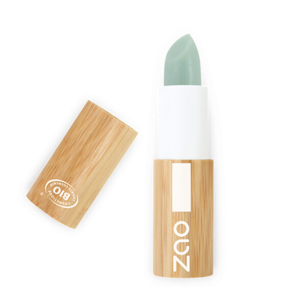 Lip Scrub Stick 482